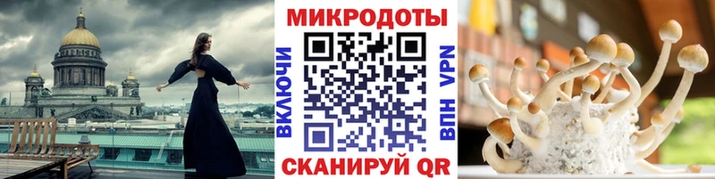 Галлюциногенные грибы мухоморы  omg   Змеиногорск 
